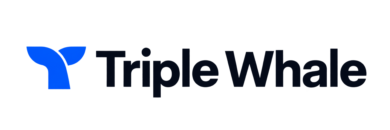 Triple Whale